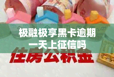 极融极享黑卡逾期一天上吗