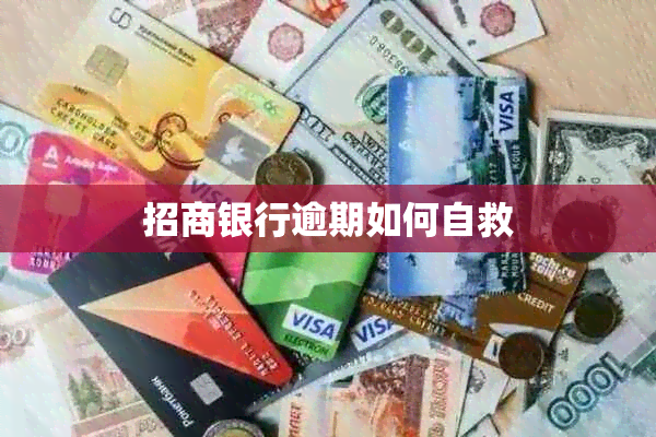 招商银行逾期如何自救