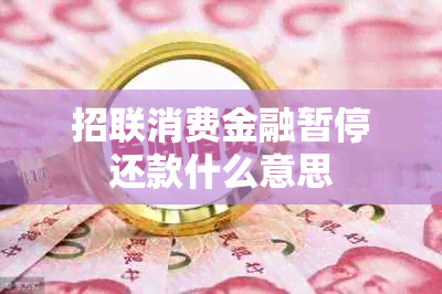 招联消费金融暂停还款什么意思