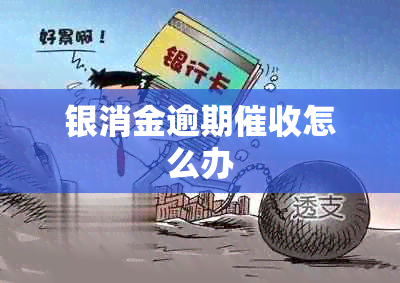 银消金逾期怎么办