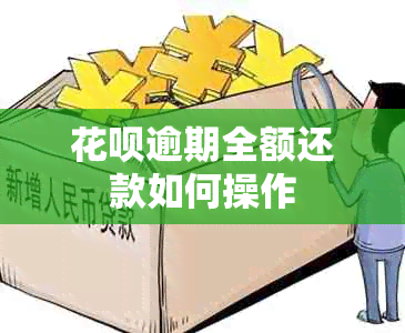 花呗逾期全额还款如何操作