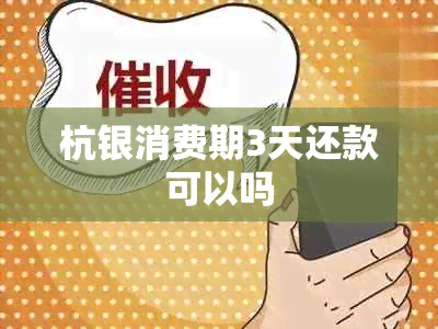 杭银消费期3天还款可以吗