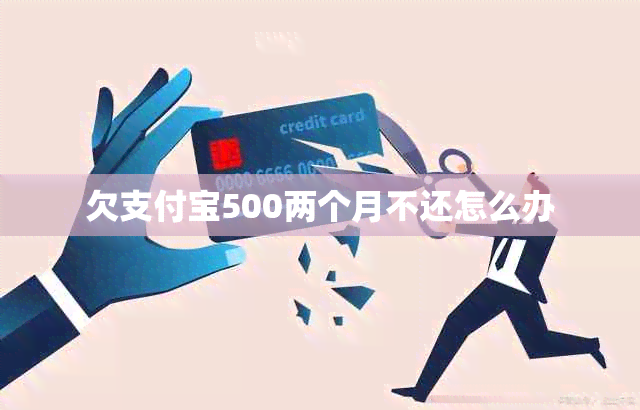 欠支付宝500两个月不还怎么办