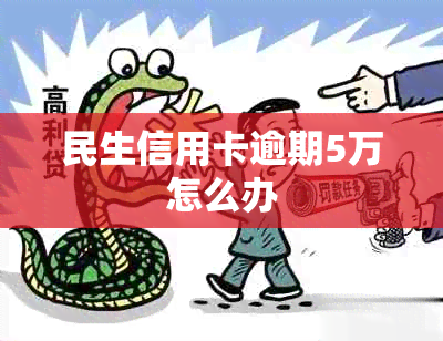 民生信用卡逾期5万怎么办