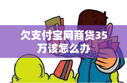 欠支付宝网商贷35万该怎么办