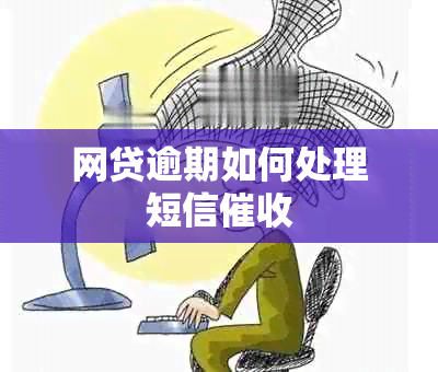 网贷逾期如何处理短信