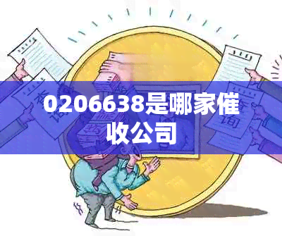 0206638是哪家公司