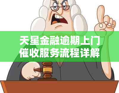 天星金融逾期上门服务流程详解