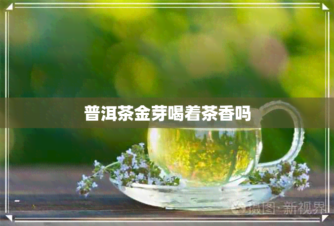 普洱茶金芽喝着茶香吗