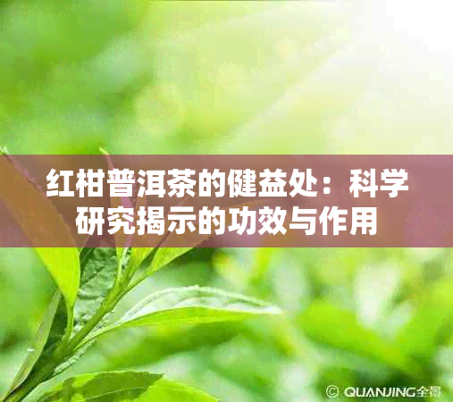 红柑普洱茶的健益处：科学研究揭示的功效与作用