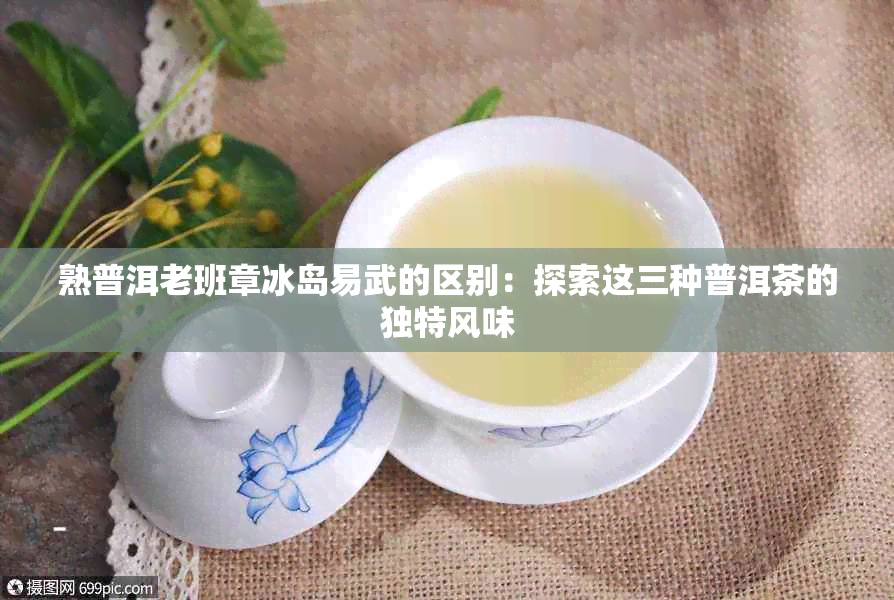 熟普洱老班章冰岛易武的区别：探索这三种普洱茶的独特风味