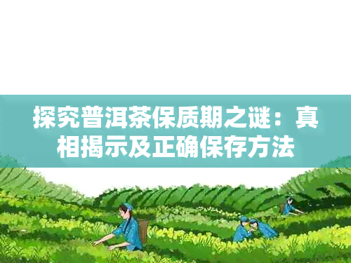 探究普洱茶保质期之谜：真相揭示及正确保存方法