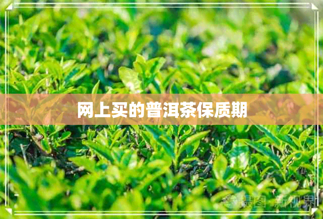 网上买的普洱茶保质期