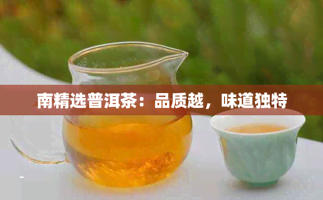 南精选普洱茶：品质越，味道独特