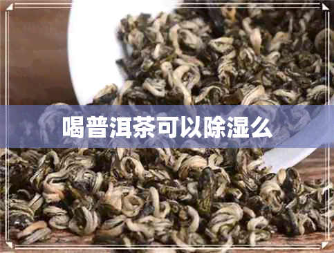 喝普洱茶可以除湿么