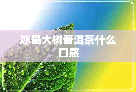 冰岛大树普洱茶什么口感