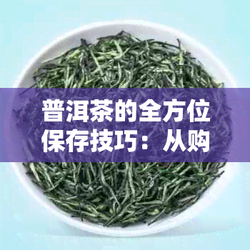 普洱茶的全方位保存技巧：从购买到保存，让你的茶叶保持品质