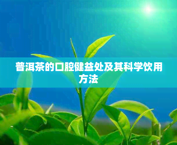 普洱茶的口腔健益处及其科学饮用方法