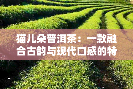 猫儿朵普洱茶：一款融合古韵与现代口感的特色茶品