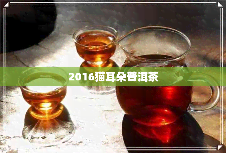 2016猫耳朵普洱茶