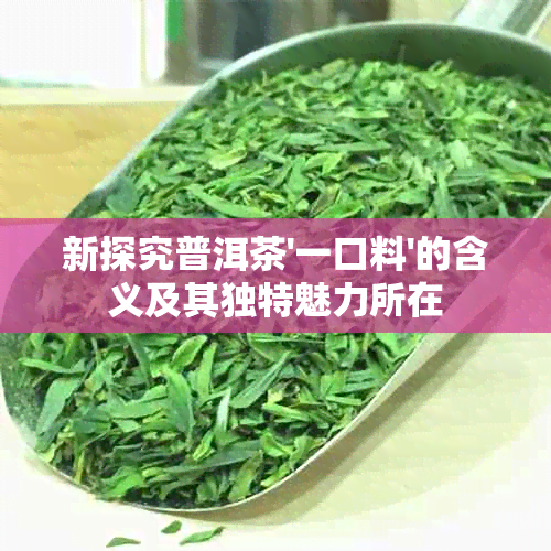 新探究普洱茶'一口料'的含义及其独特魅力所在