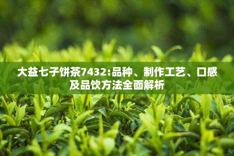 大益七子饼茶7432:品种、制作工艺、口感及品饮方法全面解析