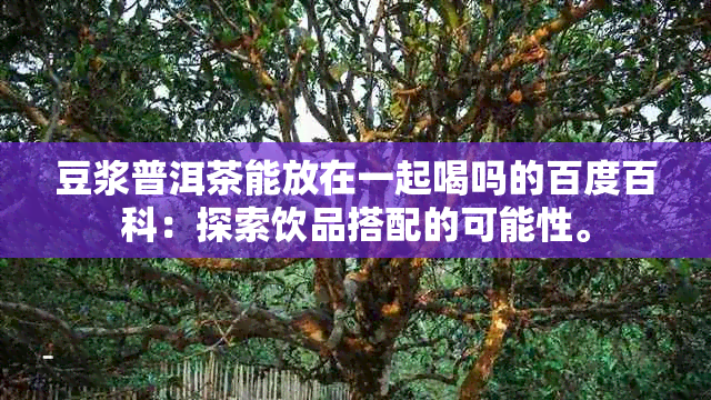 豆浆普洱茶能放在一起喝吗的百度百科：探索饮品搭配的可能性。