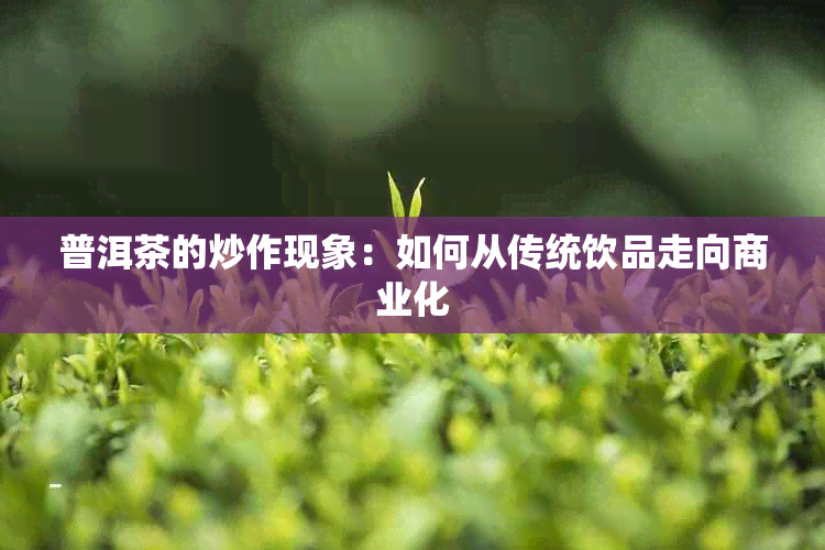 普洱茶的炒作现象：如何从传统饮品走向商业化