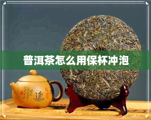 普洱茶怎么用保杯冲泡