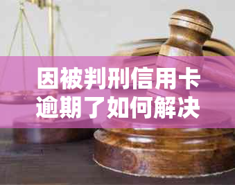 因被判刑信用卡逾期了如何解决逾期问题