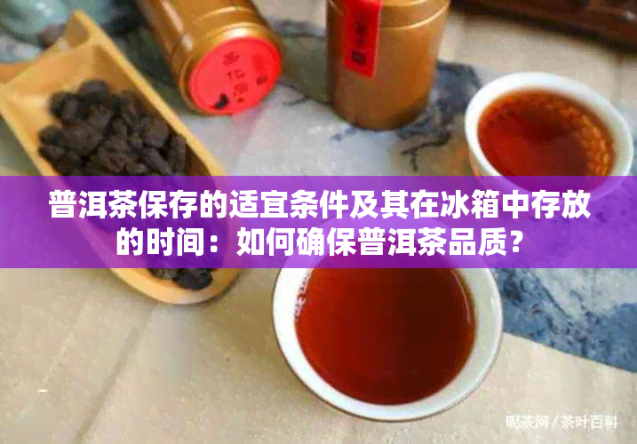 普洱茶保存的适宜条件及其在冰箱中存放的时间：如何确保普洱茶品质？