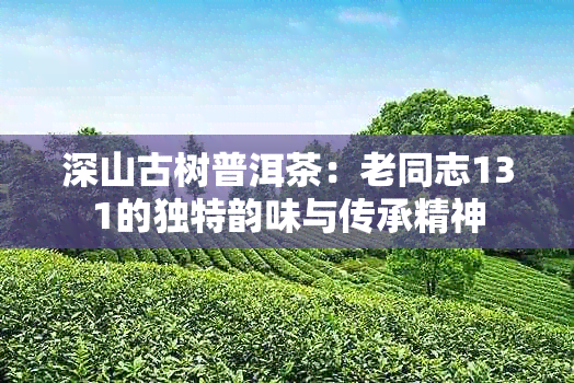 深山古树普洱茶：老同志131的独特韵味与传承精神