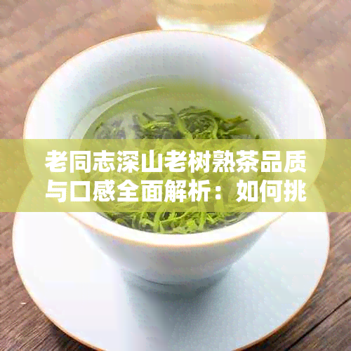 老同志深山老树熟茶品质与口感全面解析：如何挑选、冲泡与品鉴？