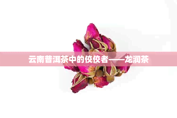 云南普洱茶中的佼佼者——龙润茶