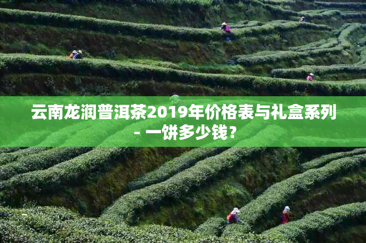 云南龙润普洱茶2019年价格表与礼盒系列 - 一饼多少钱？