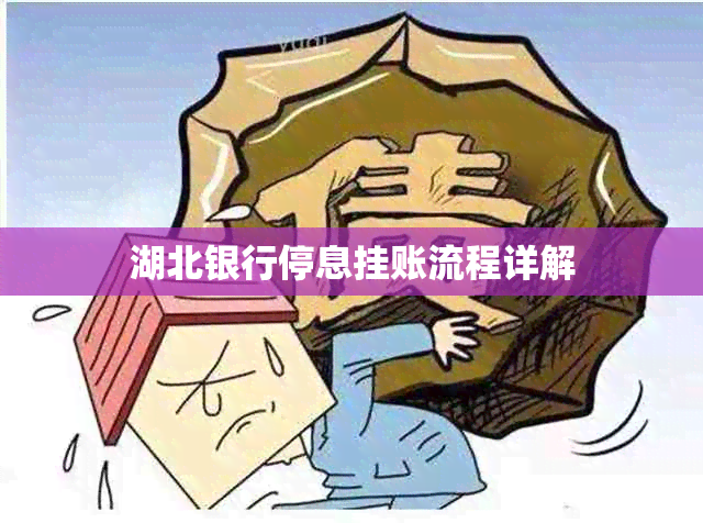 湖北银行停息挂账流程详解