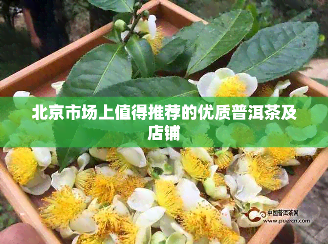 北京市场上值得推荐的优质普洱茶及店铺