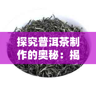 探究普洱茶制作的奥秘：揭秘现代普洱茶叶的来源与品质