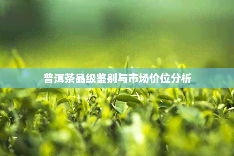 普洱茶品级鉴别与市场价位分析