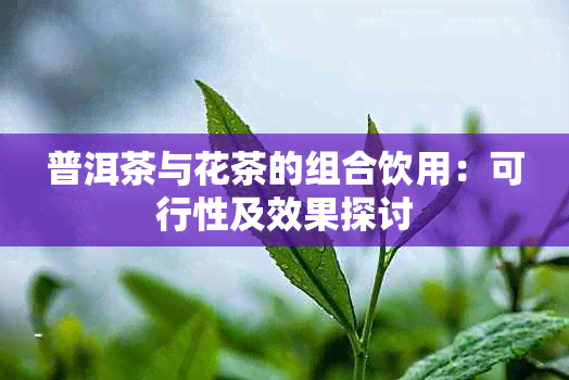 普洱茶与花茶的组合饮用：可行性及效果探讨