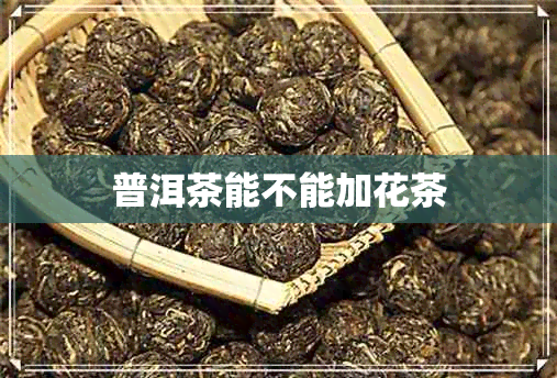 普洱茶能不能加花茶