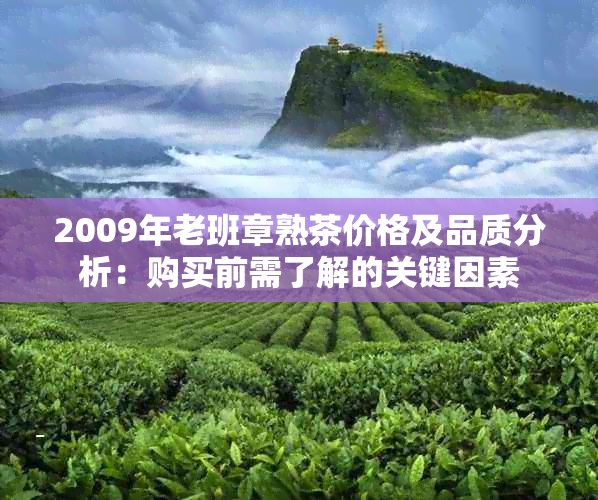 2009年老班章熟茶价格及品质分析：购买前需了解的关键因素