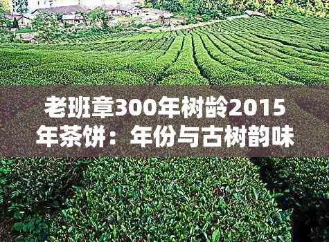 老班章300年树龄2015年茶饼：年份与古树韵味的完美结合