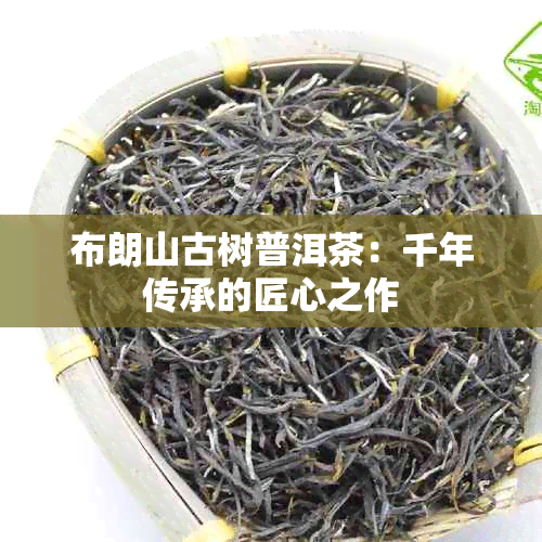 布朗山古树普洱茶：千年传承的匠心之作