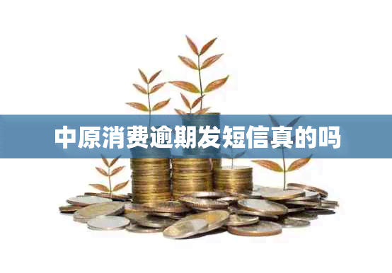 中原消费逾期发短信真的吗