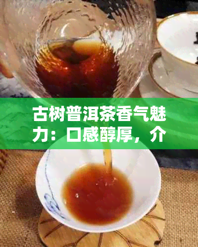 古树普洱茶香气魅力：口感醇厚，介绍独特，特点显著。