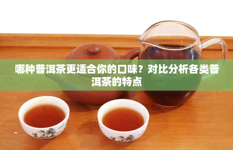 哪种普洱茶更适合你的口味？对比分析各类普洱茶的特点