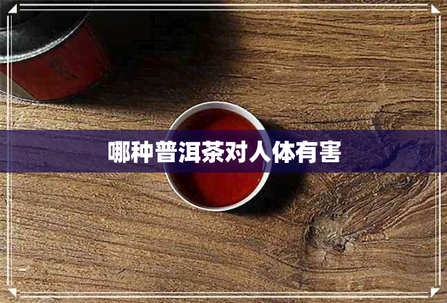 哪种普洱茶对人体有害