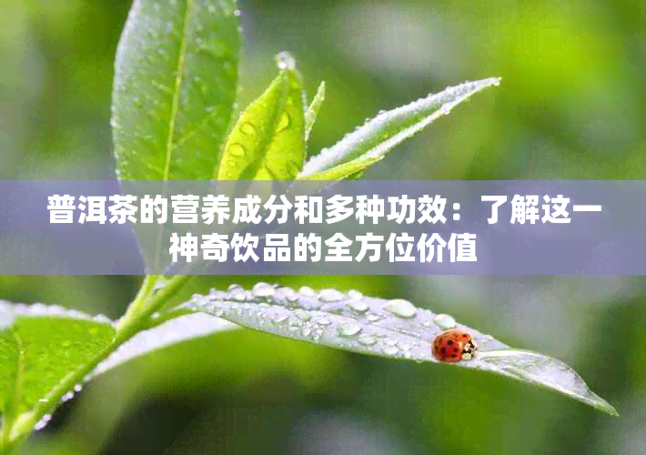 普洱茶的营养成分和多种功效：了解这一神奇饮品的全方位价值