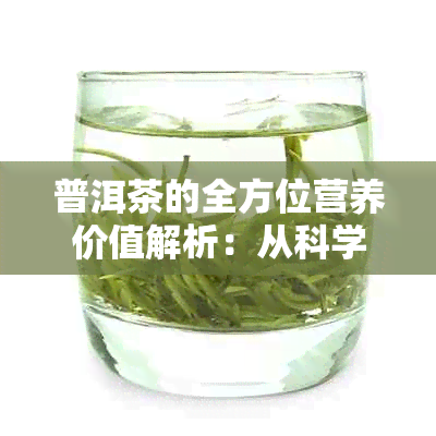 普洱茶的全方位营养价值解析：从科学角度探索其健益处与功效